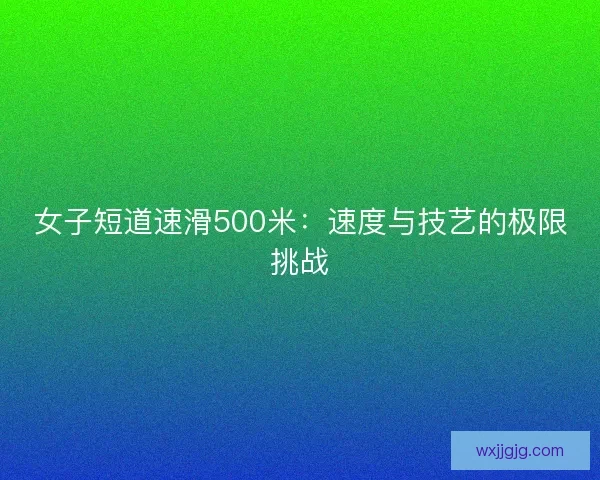 女子短道速滑500米：速度与技艺的极限挑战