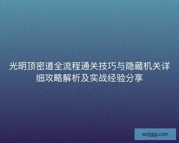 光明顶密道全流程通关技巧与隐藏机关详细攻略解析及实战经验分享